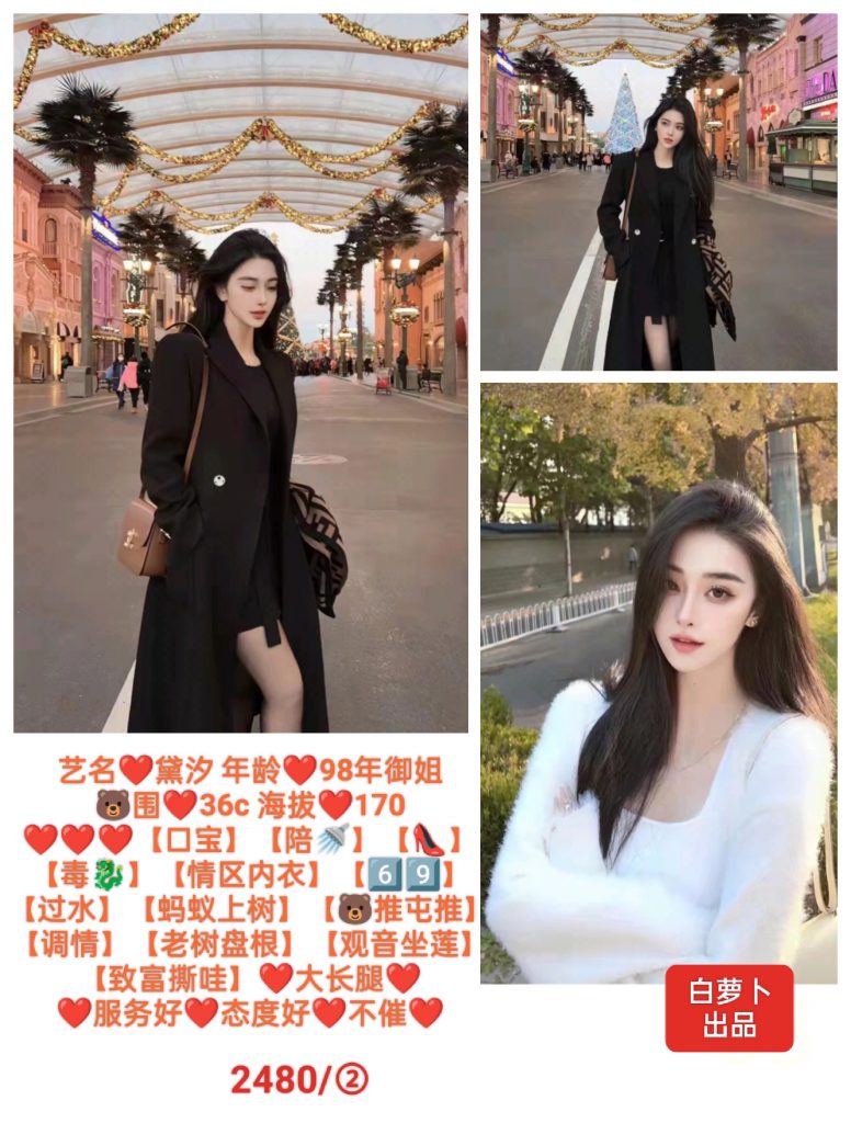 白萝卜-黛汐-老司机优选