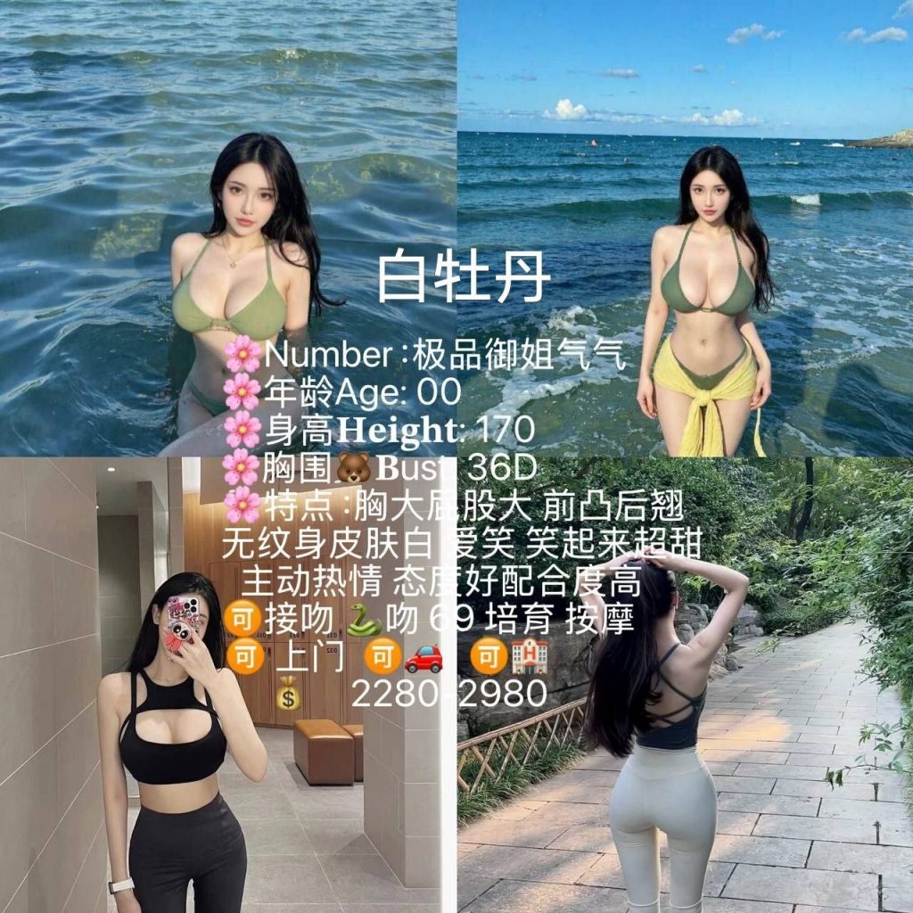 白牡丹-气气-老司机优选